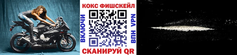 Cocaine Эквадор  Купить закладки  Новосокольники 
